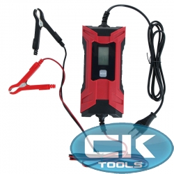 PROSTOWNIK AUTOMATYCZNY 6V,12V CYFROWY